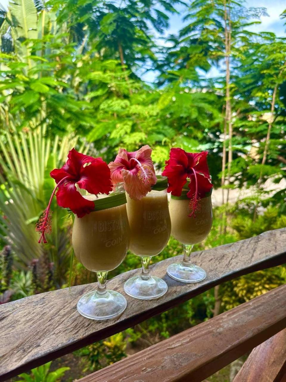 Orchid Resort Ltd Guillet Zewnętrze zdjęcie